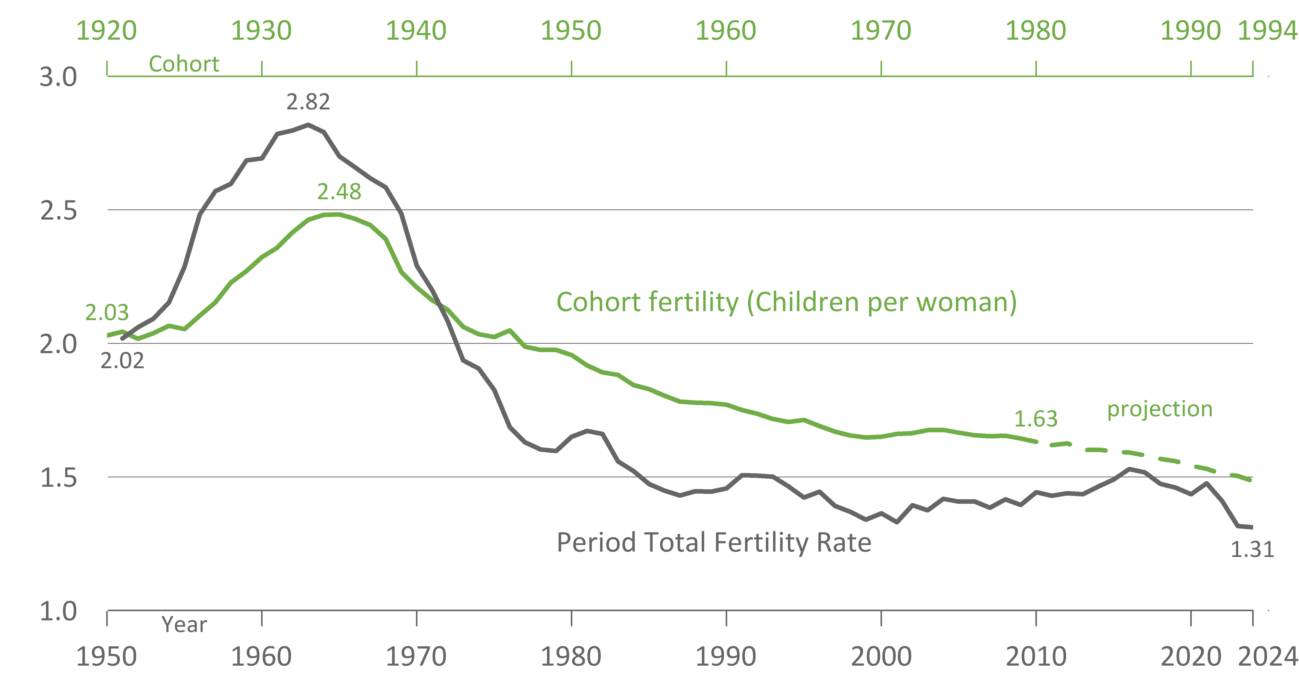 Cohort fertility